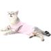 Ranphy Cat Recovery Suit for Abdominal Wounds or Skin Diseases Soft Cotton Surgical Recovery Shirt Breathable E-Collar Alternative After Surgery Home Indoor Anti Licking Clothes Pink M M(Chest:34cm Back:25cm Neck:24cm) pink - Buy Online on GoSupps.com