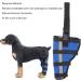 Dog Right Rear Leg Hock Brace - Neoprene Material Prevents Injuries Provides Stability with Support Strip Reflective Strip for Dogs (S) - Buy Online on GoSupps.com