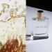 Rosy & Earnest - Vanilla Rum Royal Eau de Parfum - Buy Online on GoSupps.com