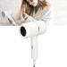 Hair Dryer Negative Ions Blow Dryer Ionic Hairdryer for Home Salon Heat Hot and Cold Wind Constant Temperature Hair Care US Plug 110V - Buy Online on GoSupps.com