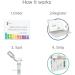 23andMe+ Premium Membership Bundle - DNA Kit with Personal Genetic insights Including Health + Ancestry Service Plus 1-Year Access to Exclusive Reports (Before You Buy See Important Test Info Below) - Buy Online on GoSupps.com