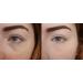 Elf Makeup Setting Mist & Eyelid Primer | Long-lasting Makeup Fixation - Buy Online on GoSupps.com