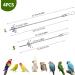 4 Pcs Bird Skewer Stainless Steel Parrot Skewer Feeder Bird Veggies Skewer Fruit Food Holder Hanging Food Feed Tool Foraging Toy Bird Toys for Budgie Parakeet Cockatiel - Buy Online on GoSupps.com
