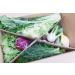 Fresh Box 5kg Colorful Variety - Premium Rabbit Box for International Shipping - Buy Online on GoSupps.com