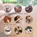 DHinkyoung Horse Massage Comb 6-in-1Horse Hair Brush TPR Horse Grooming Brush Pet Root Brush for Horse Dog and Cat Grooming Shedding - Buy Online on GoSupps.com