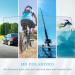Polarized Sports Sunglasses | TR90 Frame for Men & Women | Ideal for Cycling, Running, Golf, Fishing - Buy Online on GoSupps.com