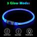 Shop Auauy LED Light Neck Band for Dogs & Cats - USB Charging Adjustable Waterproof Luminous | 3 Modes (Blue) Pet Security Collar - Buy Online on GoSupps.com