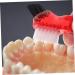 Hapinary 3ST Toothbrush - Mini Prosthesis Cleaner & Travel Brush for Dentures | Soft Bristle Hygiene Tool - Buy Online on GoSupps.com