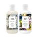 R+Co Gemstone Color Shampoo + Conditioner Kit | Prolonged Color Vibrancy  Repairs + Nourishes Hair | Vegan + Cruelty-Free | 17 Oz