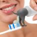3-Part Dog Butt Toothpaste Topper - Funny Gift for Pet Lovers & Friends | Unique Squeeze Toy for Hilarious Doggie Fun - Buy Online on GoSupps.com