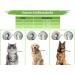 Shop MC-Royal Premium Inflatable Dog & Cat Collar - Size S | Reliable Protection Comfort & Leakage Prevention - Buy Online on GoSupps.com