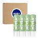 NIVEA Vegan Lip Care Hemp Seed Oil and Shea Butter Lip Balm Stick 0.17 Oz Pack of 4