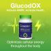 Volt03 Turmeric Curcumin (60 Capsules) + GlucodOX AMPK Activator (60 Capsules) Complete Wellness Bundle for Joint Health Metabolic Balance Energy & Immune Support with Organic Ingredients - Buy Online on GoSupps.com