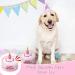 Dog Birthday Bandana Set with Hat and Squeaky Cake Toy - Perfect Party Supplies Gift for Small, Medium, Large Dogs - Pink Cream Cake Design - Buy Online on GoSupps.com