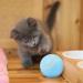 2PCs Power Ball 2.0 Cat Toy - Interactive Rotating 360 Automatic Cat Toy for Fun & Exercise | Aiveys - Buy Online on GoSupps.com