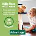 Advantage 40 Flea Spot On Treatment For Dogs Cats & Rabbits 1 Pipette 0.4ml 4kg - Buy Online on GoSupps.com