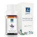Premium Violet Essential Oil Fragrance Oil - Exquisite Aroma Blend for Aromatherapy Diffusers Home Fragrance-10ml Violet 0.33 Fl Oz (Pack of 1)