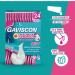 Gaviscon Double Action Heartburn & Indigestion Mint Flavour Sachets 24x10ml Pack of 48 - Buy Online on GoSupps.com