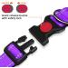 Buy Taglory Purple Dog Collar for Small Dogs - Soft Padded Neoprene Adjustable & Reflective | Ideal for Training | Fast International Shipping - Buy Online on GoSupps.com