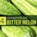 Bitter Melon Capsule Health Supplement 365 Capsules 1 Years Supply take one a Day by VITA PHARMA Produced here in The UK - Buy Online on GoSupps.com