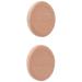 RAW Hydrostone Natural Terracotta Humidifying Stone