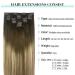 Doores Clip-In Extensions | Real Hair 60cm 24 Inch - Walnut Brown to Ash Brown & Blonde | 7 Pieces 120g Remy Hair for Thick Natural Looks - Buy Online on GoSupps.com