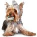 Omega Paw Solutions Dental Ring Small Green - Buy Online on GoSupps.com