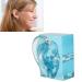 Waterproof Fake Right Ear Model for Earwax Removal - Acrylic Blue Transparent Display - Buy Online on GoSupps.com