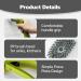 Dish Cleaning Brush - Automatic Dish Brush with Long Handle Cleaning Scrubber Add Detergent Sink Cleaning Dish Scrubber Reused Kitchen Cleaning Tools for Sink & Dish Green - Buy Online on GoSupps.com
