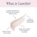Lanolips Hydrate & Shimmer Bundle - 3-Piece Lanolin Balm Set for Lips and Skin - Includes 101 Ointment, Strawberry Balm & Nude Tinted Balm - Buy Online on GoSupps.com