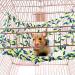 Yitaocity Rat Ferret Chinchilla hamsters Hammock Braided Bed Toy Center Loepard Print with 4 Hooks - Buy Online on GoSupps.com