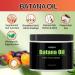 NNBHH Batana Oil 100% Natural Batana Oil for Hair Growth Natural Hair Growth Oil Repair Damaged Hair Promote Hair Regrowth for Men&Women - Buy Online on GoSupps.com