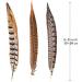 Flying Feathers Natural Pheasant Feathers 4 Style 15-20cm 12pcs for DIY Craft and Party Decor FF03 - Buy Online on GoSupps.com