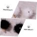 FRCOLOR Set of 6 Hair Balls Accessories for Nails Mini Pom Balls Shoes Pompom Balls Nail Art Set Artificial Nails Set Nail Jewellery Key Ring Craft Manicure Supply Cosmetic Accessories - Buy Online on GoSupps.com