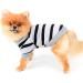 Paidful Striped Dog Shirt - breathable tank tops for Small & Medium Dogs | Cute Cat Vest with Red Heart | Summer Outdoor Wear for Puppies Chihuahuas & Yorkies - Buy Online on GoSupps.com