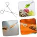 Levemolo Reptile Feeding Clip Lizard Stuff Aquarium Pipette Snake Tong Silver Stainless Steel - Buy Online on GoSupps.com