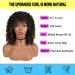 Premium Short Synthetic Curly Afro Wig for Black Women with Bangs - Mixed Brown #2/33 - Buy Online on GoSupps.com