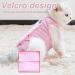 Phcozy Recovery Suit for Cats & Dogs - Protective Clothing for Post-Operative Care Pink - Buy Online on GoSupps.com