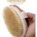 Premium Vegan Dry Body Brush | Natural Bristles Peeling Brush for Exfoliating Dead Skin Ideal for Bathing & Skincare - Buy Online on GoSupps.com