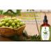 SVA Organics 100% Pure Amla Oil 4 Oz - Premium Quality Therapeutic Grade Non-GMO Oil for Scalp, Hair & Skin - Large Size with Dropper - Buy Online on GoSupps.com