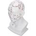 Buy Acupuncture Head Model with Point Markings | Ideal for Facial Treatments & Training Props - 11.8 inches Soft PVC - Buy Online on GoSupps.com
