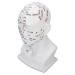 Acupuncture Point Head Model PVC White Facial Massage Meridians Teaching Props for Easy Observation and Learning 11.8 Inch