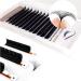Buy Volume Eyelash Extensions 0.05/0.07 | Easy Fan CC/D Curl | 2D-20D Self Fanning Lashes | 8-15mm Length | Long Lasting Blooming Lashes - Buy Online on GoSupps.com