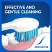 Sensodyne T/Brush Sensitive Soft Pack of 3 Assorted 3 count (Pack of 1) - Buy Online on GoSupps.com