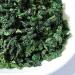 250g Th Guan Yin Th vert oolong bio en vrac - Buy Online on GoSupps.com