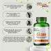 Tresear Divya Himalayan Calcium Magnesium Zinc + Vitamin D3 Supplement for Bone Health & Muscle Growth - 60 Tablets - Buy Online on GoSupps.com