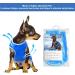 Dog Cooling Vest Harness | Swamp Cooler Evaporative Coat for Hot Weather | Ice Silk Breathable Shirt for Dogs | Pet Anxiety Relief | Size Small - Buy Online on GoSupps.com