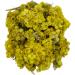 AgoraMarket Dried Helichrysum Immortelle Eternal Flowers 85g 195Kg 1950 grams - Buy Online on GoSupps.com