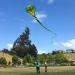 HENGDA KITE Large Power Snake Kite - 26 Ft Flying Line Outdoor Fun Sports - Buy Online on GoSupps.com