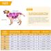 Cit toile Dogs Hoi Life Jacket - Pink Mermaid Tail Vest for Small Medium & Large Dogs | Dog Lifeguard Swim Safety - Buy Online on GoSupps.com